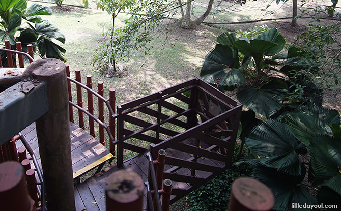 Lookout platforms midway up to the treehouse