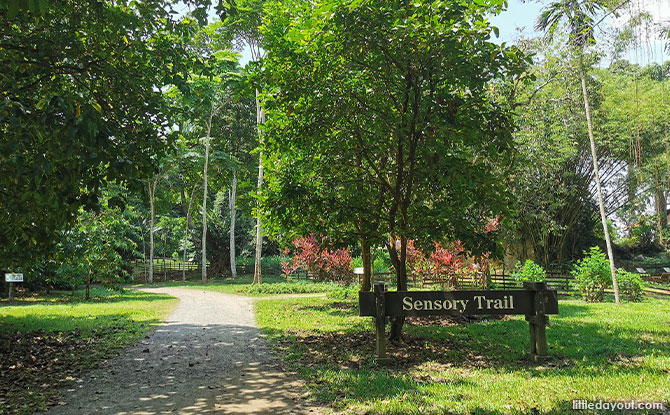 Sensory Trail