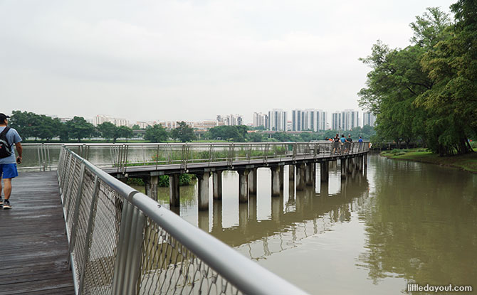 Northern boardwalks at Lakeside Garden.