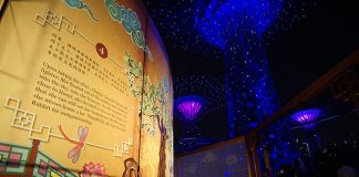 11-Gardens-by-the-Bay-Mid-Autumn-Festival-2019