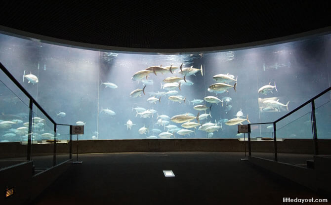 Voyagers of the Sea exhibit, Tokyo Sea Life Park