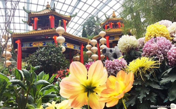 Dahlia Dreams at Gardens by the Bay 2019: A Chinese Garden
