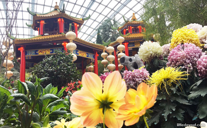 Dahlia Dreams at Gardens by the Bay 2019: Wandering Through A Chinese Garden