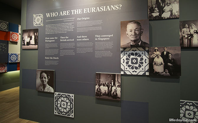 Who are the Eurasians
