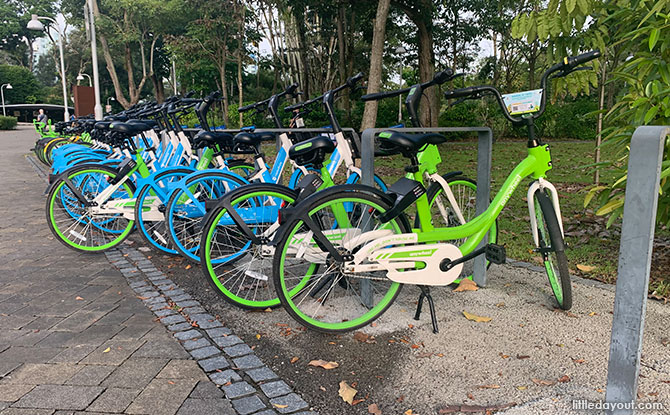 Cycling at Jurong Lake Gardens