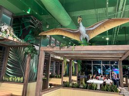Nomstar At Northshore Plaza: Dining With Dinos & Multiple Brands At The Asian Restaurant In Punggol