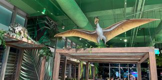 Nomstar At Northshore Plaza: Dining With Dinos & Multiple Brands At The Asian Restaurant In Punggol