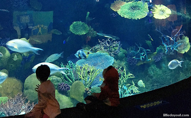 Visiting Sea Life Bangkok with kids - What to see