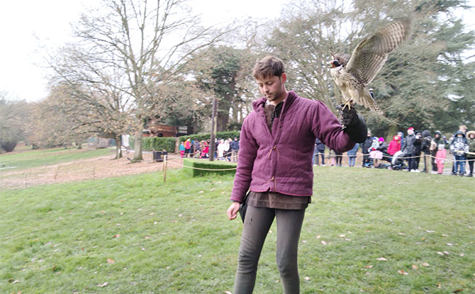 Falcon show at Warwick Castle