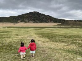 8-Day Escape to Kyushu: Family-Friendly Tips, Experiences And Road Trip Highlights
