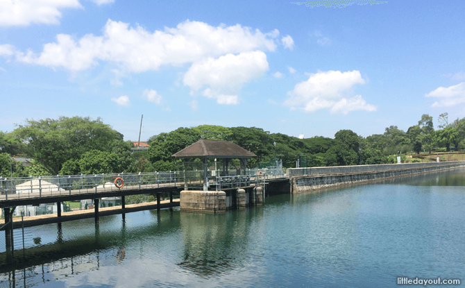 MacRitchie Machine