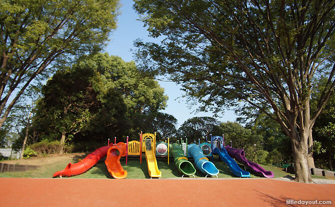 Rainbow slides