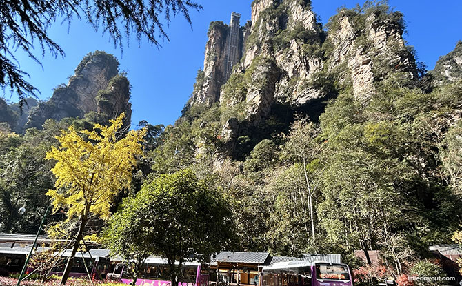 Zhangjiajie: A Nature-Loving Family’s Epic Travel Adventure In Hunan, China 9 Bailong Elevator