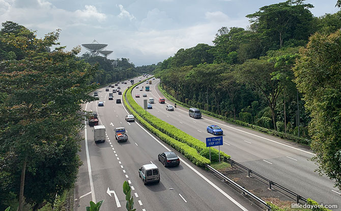 Bukit Timah Expressway