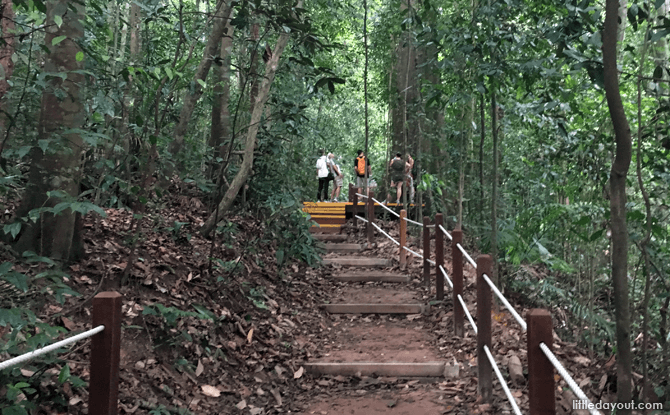 Bukit Timah Nature Reserve