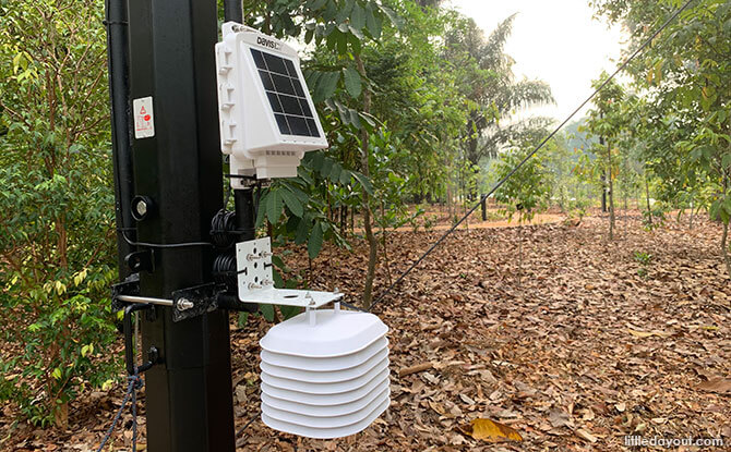 Hi Tech IOT Sensors at the OCBC Arboretum, Singapore Botanic Gardens Gallop Extension