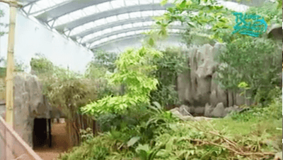 Panda Enclosure