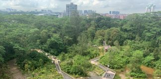 16 Of The Best Parks For Kids & Families In Singapore