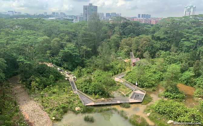 View from the Colugo Deck, Rifle Range Nature Park