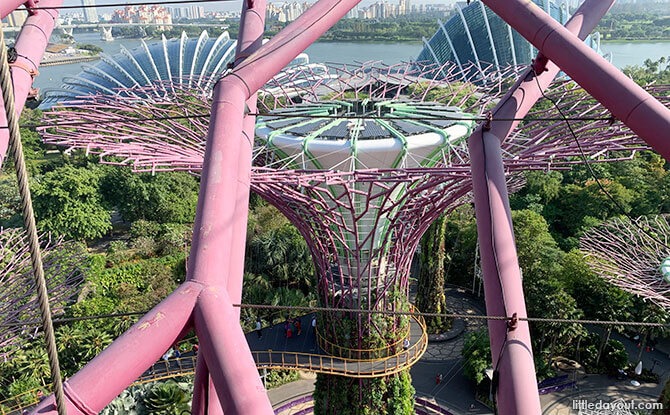 Free Admission For Children At Gardens By The Bay During March School Holidays 2020 3 View from Supertree Observatory