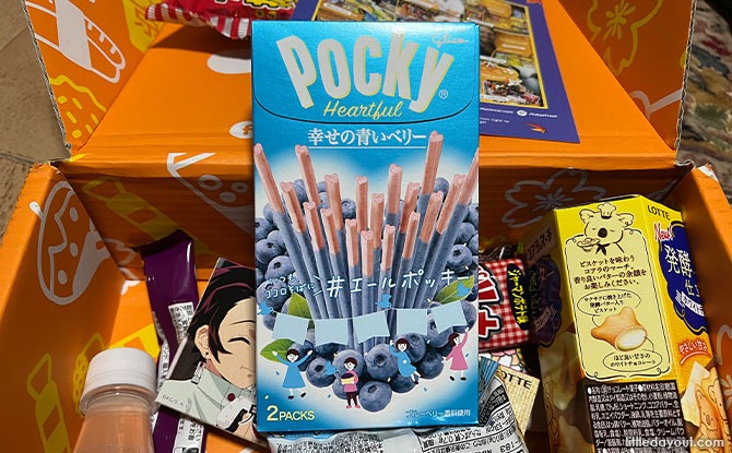 blueberry poky