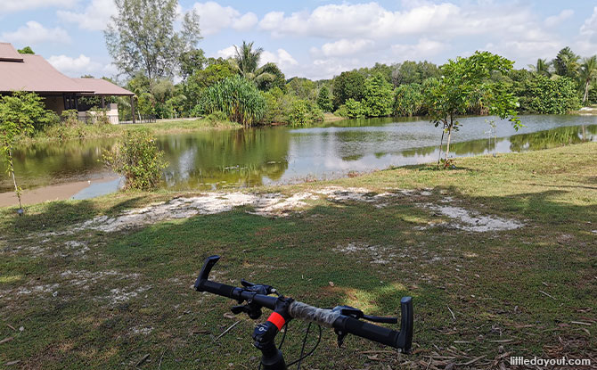 Recommended Rest Stops: Ah Ma Drink Stall & Ubin Living Lab