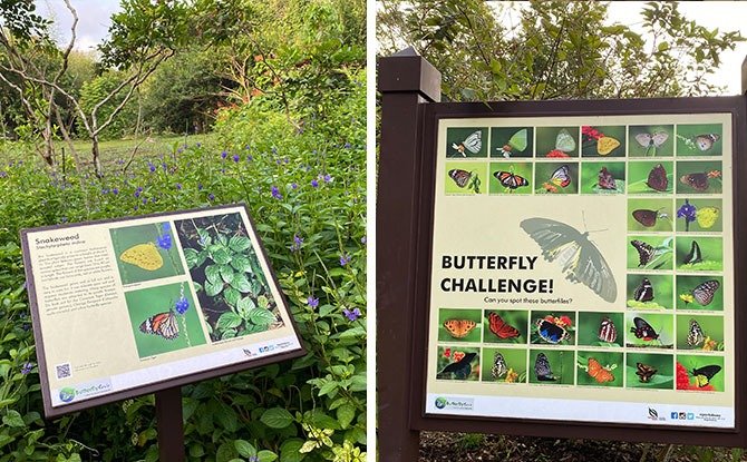 Butterfly Hill Signage + Challenge