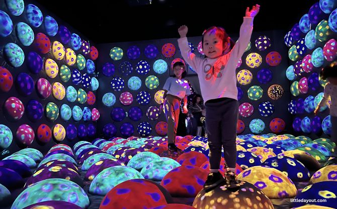 8-Day Escape to Kyushu: Family-Friendly Tips, Experiences And Road Trip Highlights 2 Team Labs Forest is located on L5 of BOSS E ZO Fukuoka