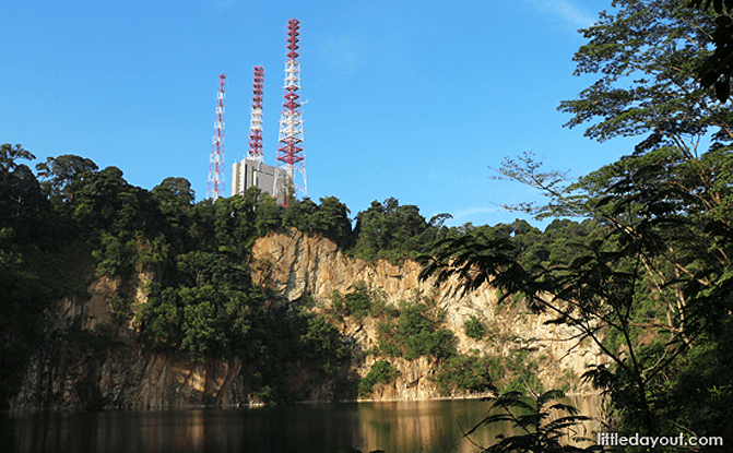 Beyond Bukit Timah Hill: 11 Best Natural Peaks in Singapore to Explore with Kids Hindhede Nature Park