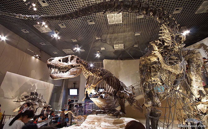 Dinosaurs, National Museum of Nature and Science, Tokyo, Japan