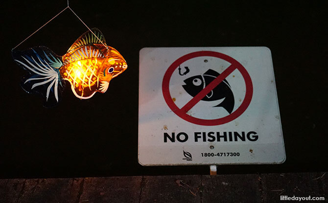 Fishing is not allowed but fish lanterns are okay.