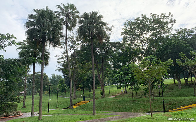 Clementi Woods