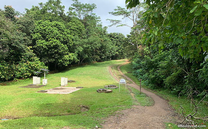 Along the Pipeline Trail to Bukit Timah Nature Reserve