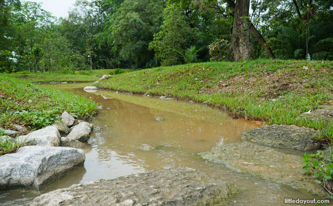 Neram Streams and Heron Island