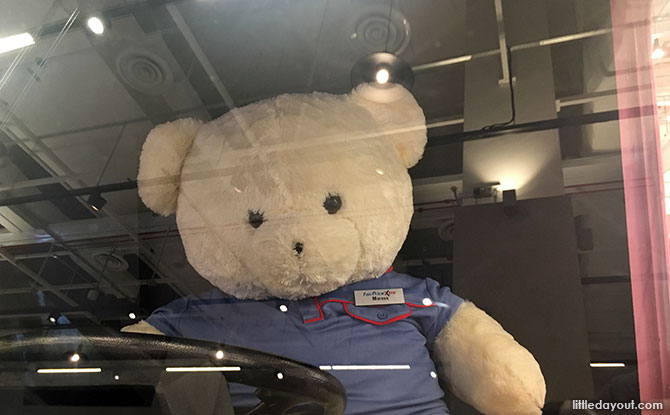 Teddy bear driver named Marcus