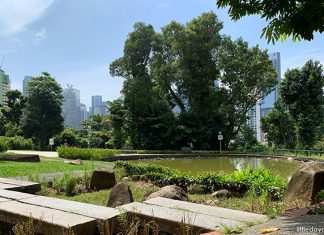 Pearl’s Hill City Park: Hidden Nature Haven At The Edge Of Town Pearl’s Hill City Park: Hidden Nature Haven At The Edge Of Town