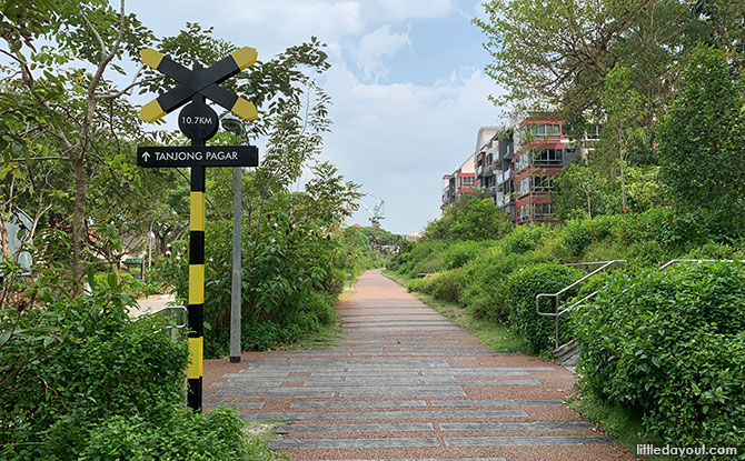 Rail Corridor next to Rifle Range Road