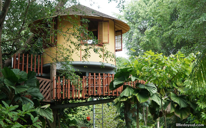 Treehouse at Science Centre Singapore