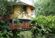 The Treehouse At Science Centre Singapore That Most People Don’t Even Know Exists 13-treehouse-science-centre-singapore
