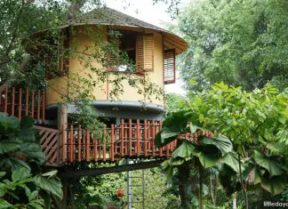 The Treehouse At Science Centre Singapore That Most People Don’t Even Know Exists 13-treehouse-science-centre-singapore