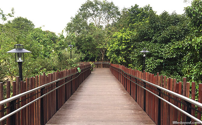 Bridge over the Orchard Zone at Jacob Ballas Children’s Garden New Extension