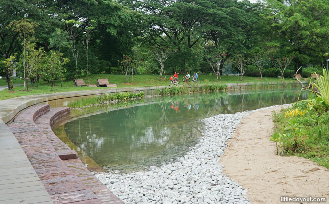 Eco Pond at Clusia Cove, Jurong Lake Gardens.
