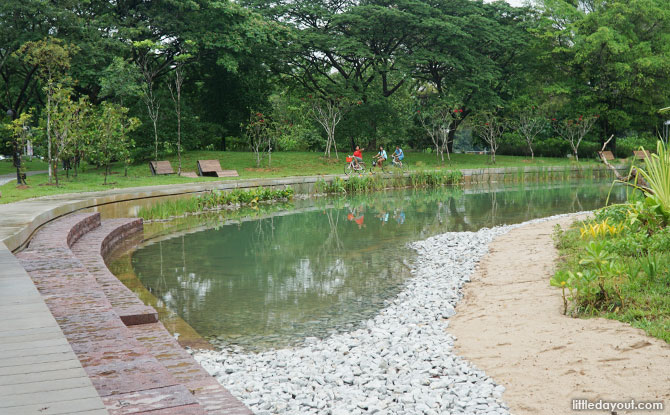 Clusia Cove: Water Play With Tides At Jurong Lake Gardens 2 Eco Pond at Clusia Cove, Jurong Lake Gardens.