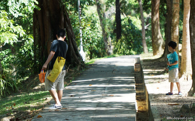 Explore a nature trail