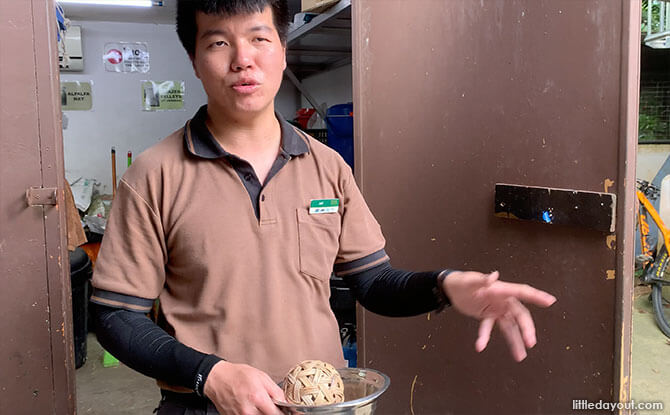 Jeff Choo, keeper at the Night Safari's Fishing Cat Trail