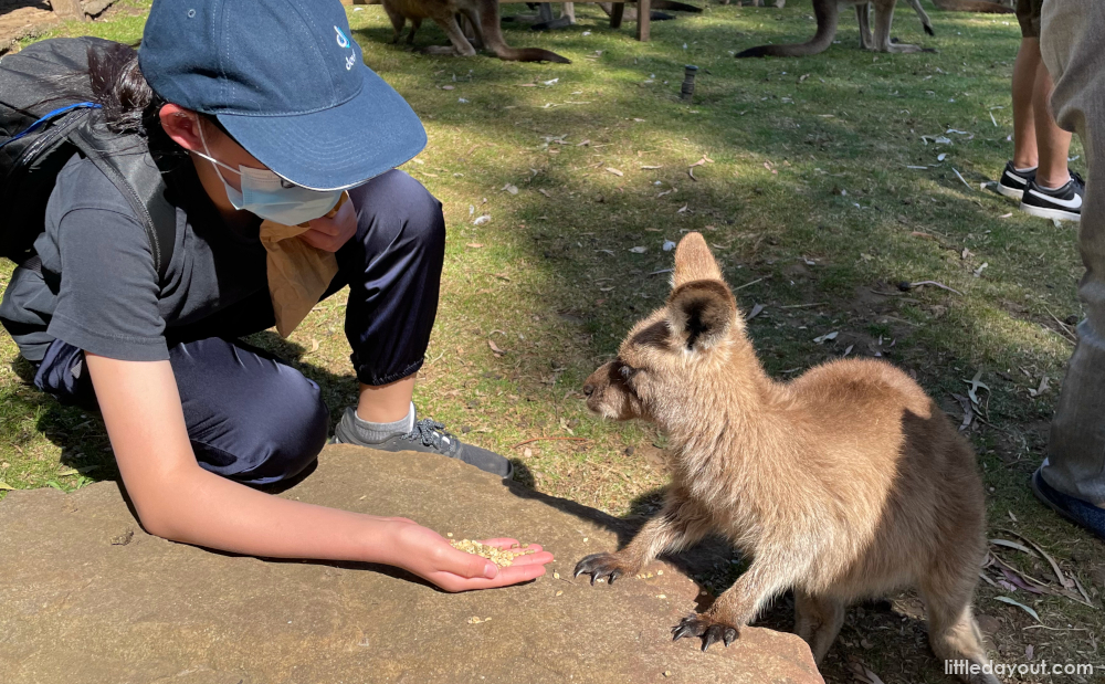 Tasmania