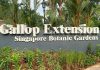 14-gallop-extension-singapore-botanic-gardens