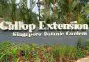 Singapore Botanic Gardens Gallop Extension: Mingxin Foundation Rambler’s Ridge And OCBC Arboretum Opens 14-gallop-extension-singapore-botanic-gardens