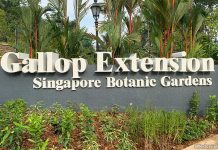14-gallop-extension-singapore-botanic-gardens