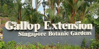 14-gallop-extension-singapore-botanic-gardens